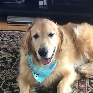 Meet your Posher, Kelly